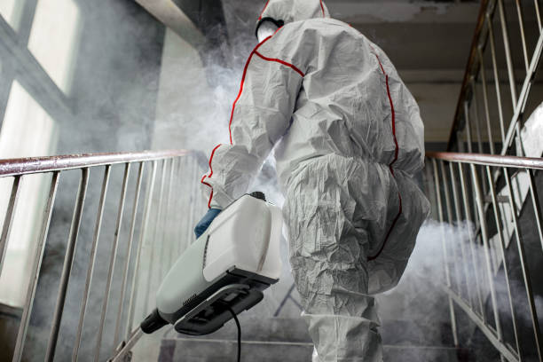 Best Mold Remediation for Healthcare Facilities  in Arlington, GA